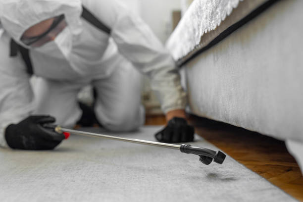 Professional Cockroach Control technician working in Hudson, OH
